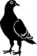 Pigeon Silhouette clip art Preview