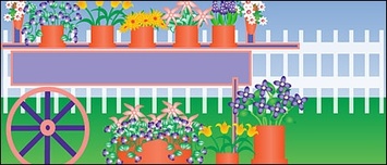 Flowers & Trees - Plants flower in pots out door 