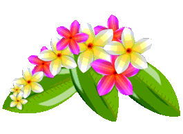 Plumeria Vector Flowers