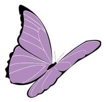 Animals - Purple Butterfly 