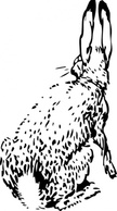 Rabbit From Behind clip art Preview