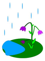 Flowers & Trees - Rain 
