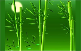 Real bamboo vector material Preview
