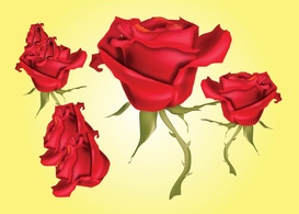 Red Roses Vector Preview