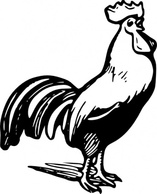 Rooster clip art Preview