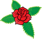 Rose Cross Flower Vector