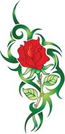 Rose Flower Vetor 16