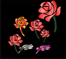 Nature - Roses 