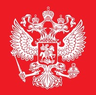 Russian Flag Logo 3