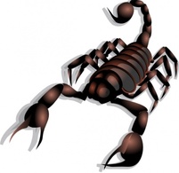 Scorpion clip art Preview