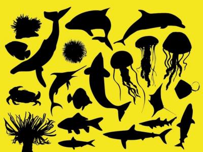 Sea animals silhouettes Preview