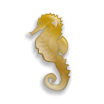 Animals - Seahorse 