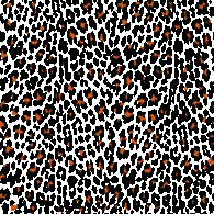 Seamless Pattern Leopard Preview