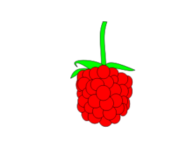 Simple Raspberry