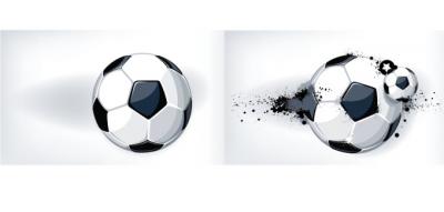 Soccer Ball Vector Preview