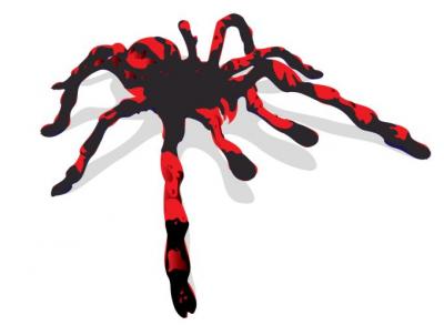 Spider Vector Preview
