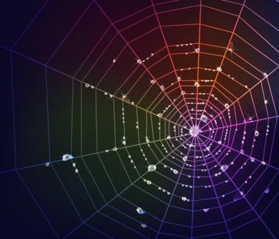 Spider Web Vector Preview