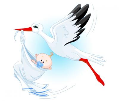 Stork Carrying a Baby Vector Preview