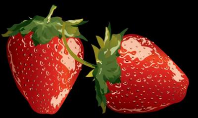 Strawberry Vector Preview