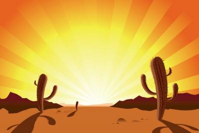 Sunrise Desert Cactus Vector Illustration Preview