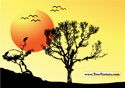 Sunset Vector Tree Background Preview