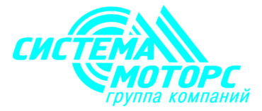 System Motors