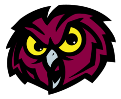 Temple Owls Preview