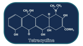 Tetracycline Structure Preview