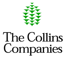 The Collins Companies Preview