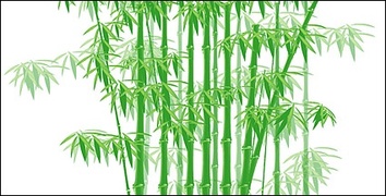 The green bamboo vector material Preview