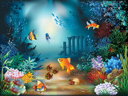 The underwater world of fish and plants Preview