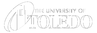 The University Of Toledo Preview