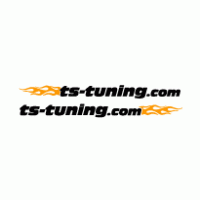 TS-TUNING.com Preview