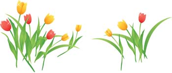 Flowers & Trees - Tulip Flower 12 