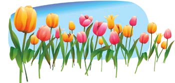 Flowers & Trees - Tulip Flower 19 