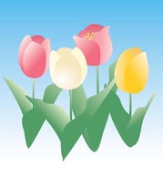 Flowers & Trees - Tulip Flower 21 