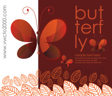 Vector Butterfly isolated Background