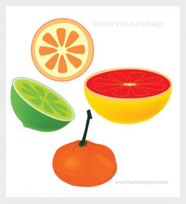 Vector Citrus Package Preview