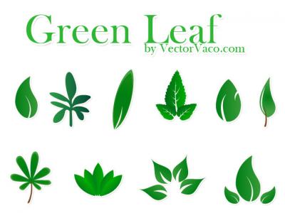 Vector Green Leaf Preview