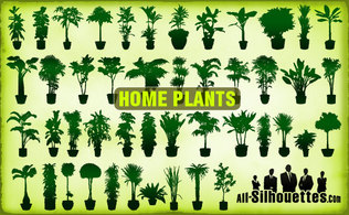 Vector Home Plants Clipart