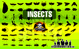 Vector Insects Preview