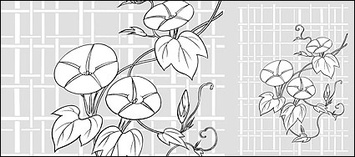 Backgrounds - Vector line drawing of flowers-26(Morning glory, lattice background) 