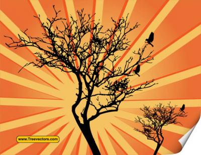 Vector Sunburst Background with Tree Preview