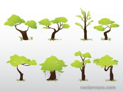 Vector Trees