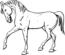 Human - Walking Horse Outline clip art 