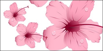 Water with pink flowers vector material
