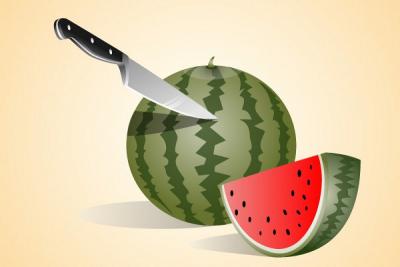 Watermelon Vector Illustration Preview