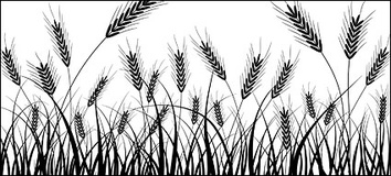 Wheat silhouettes vector material Preview