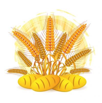 Wheat Vector Preview