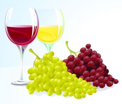 Wine With Grapes Vector Preview